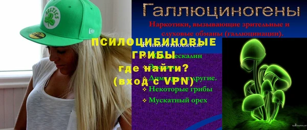 apvp Верхний Тагил